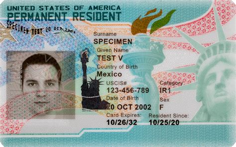 category iron on green card.